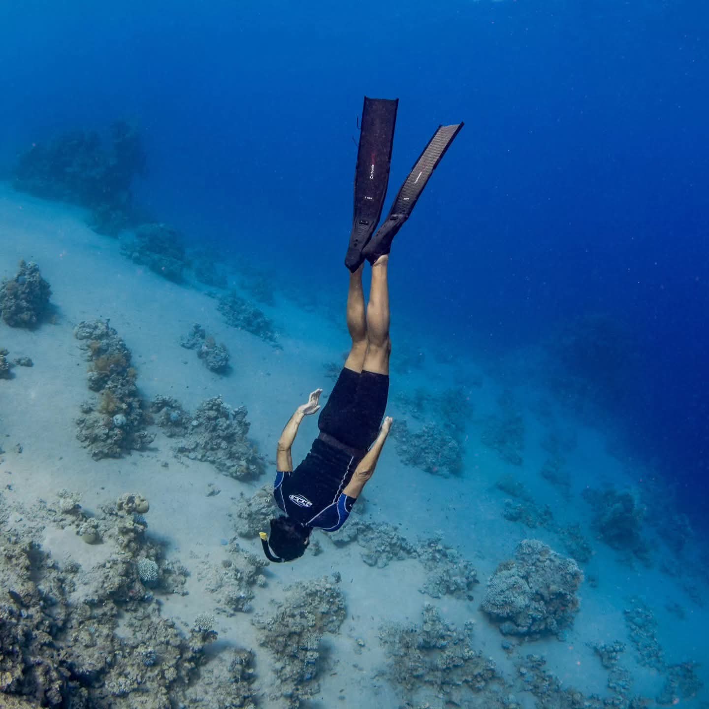 Plonge dans la mer Rouge